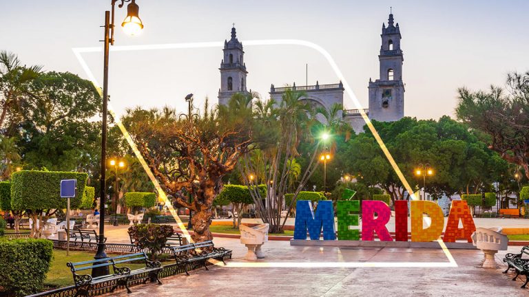 Injerto de cabello Mérida Yucatán